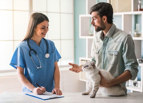 male-pet-owner-talking-with-female-vet-with-cat-at-clinic